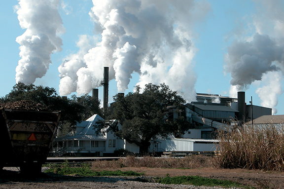 Cover Sterling Raw Sugar Factory_webjpg